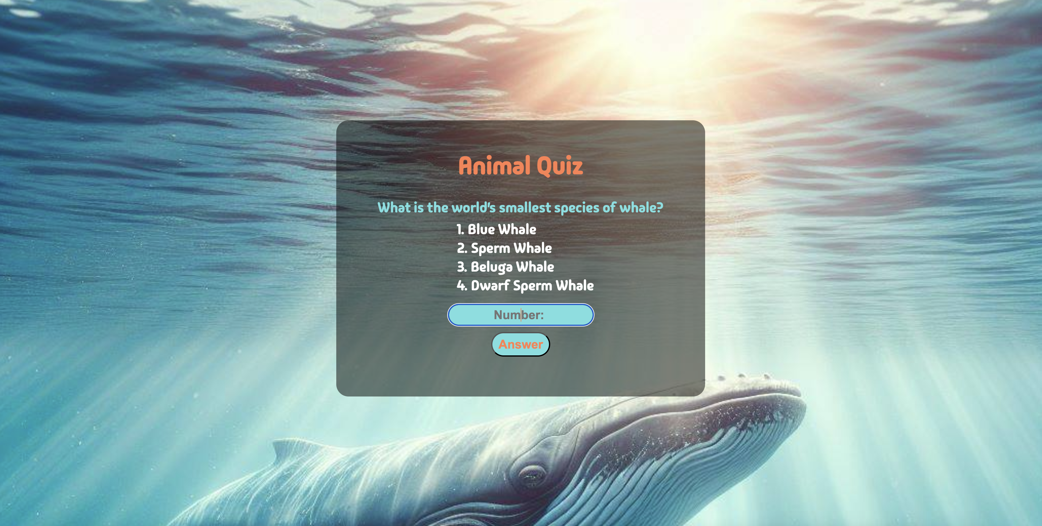 Animal Quiz